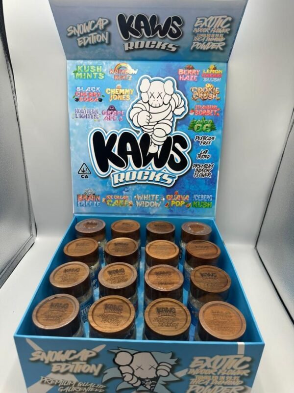 Kaws Rocks Snowcaps